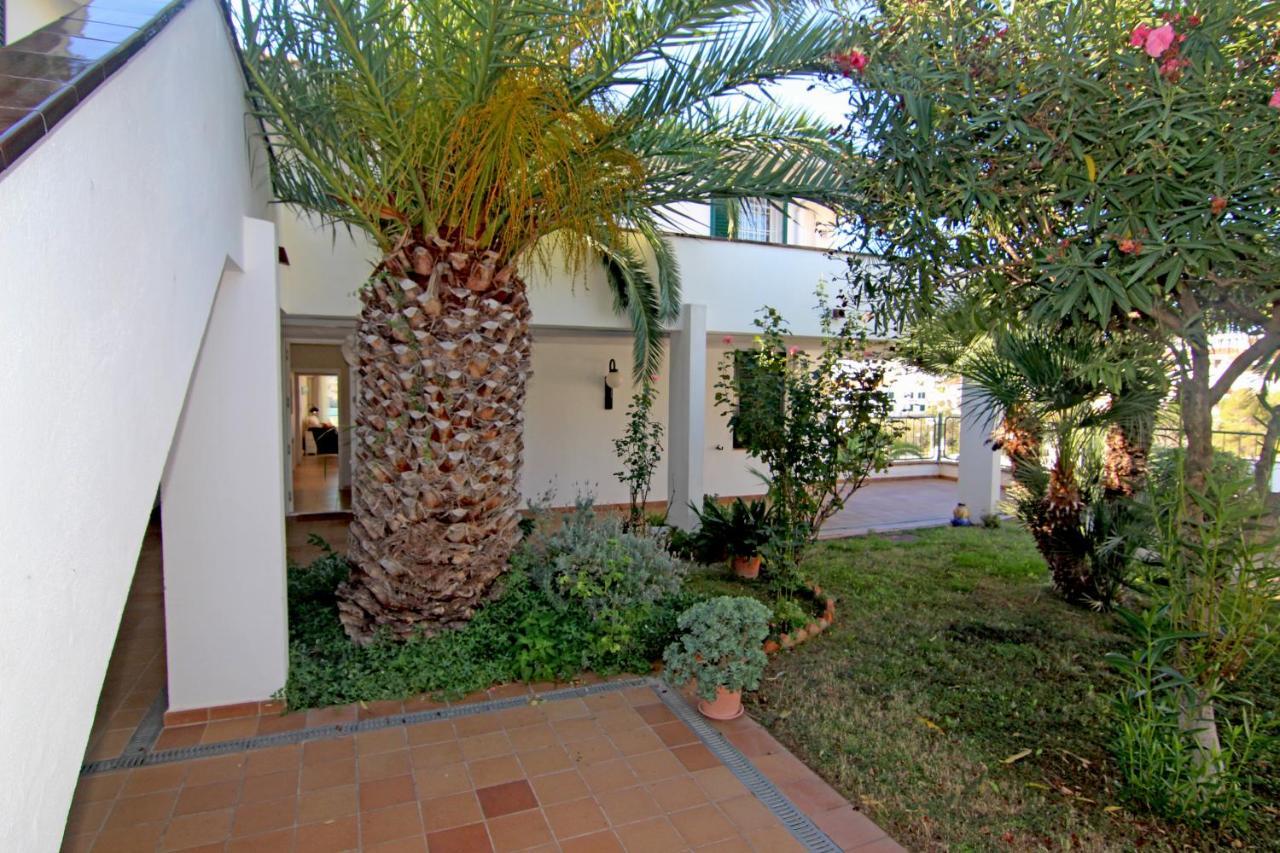 Appartamento Viva - View